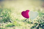 520 heart shaped love desktop wallpaper picture