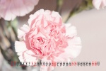 May 2021 Mother's Day Desktop Calendar Wallpaper