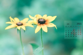April 2021 green fresh eye protection calendar wallpaper