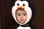 Bentley little penguin head