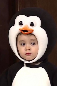 Bentley little penguin head