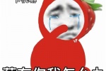 水果系列沙雕表情包