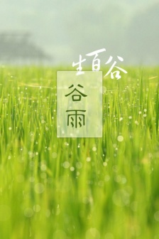 Chinese traditional solar term Guyu mobile wallpaper picture