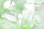 2022年4月纯绿色自然风景桌面日历壁纸