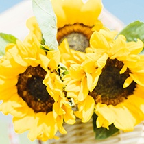 April 2022 Desktop Wallpapers