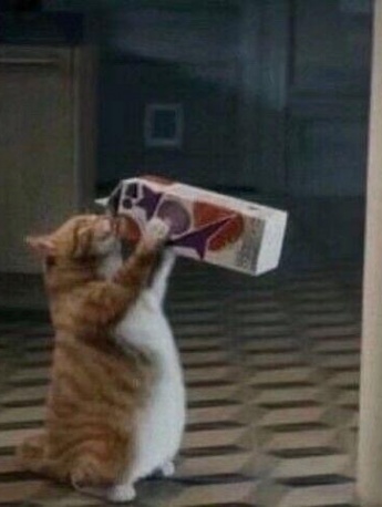 Cat drinking drink emoticon pack