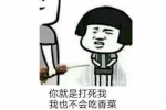 你就是打死我我也不会吃香菜
