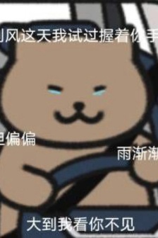 Jay Chou lyrics cat expression pack