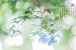 March 2022 green leaves flowers blue sky desktop calendar wallpaper