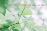Eye-protecting natural scenery desktop calendar wallpaper for April 2021