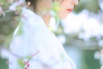 樱花和服美女写真手机壁纸