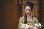 TV series《Swordsman in the Snow》picture desktop wallpaper