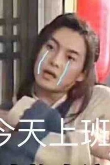 Wulin Gaiden days of the week expression pack pictures