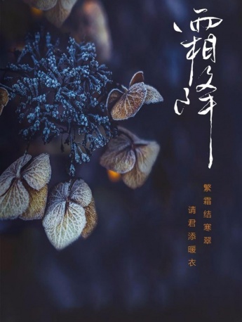 Frosty charming snow scene pictures HD mobile wallpaper