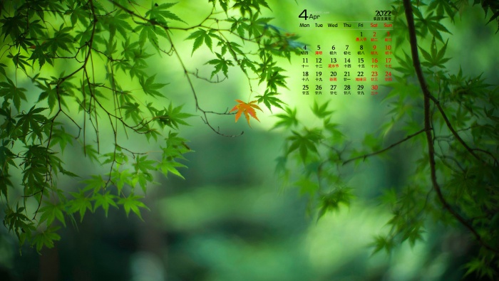 April 2022 green maple leaf desktop calendar wallpaper
