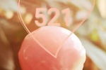 521 pictures are beautiful and beautiful with text and pictures