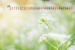 2021年10月好看花朵清新日历壁纸