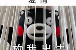 熊本熊放我出去（爱情）