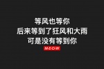 等风也等你，后来等到了狂风和大雨，可是没有等到你