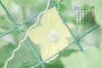March 2022 eye-protecting green plants scenery desktop calendar wallpaper