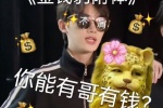 金钱豹附体你能有哥有钱