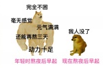 Summary of emoticons comparing two dogs