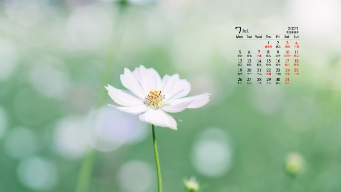 2021年7月小清新桌面日历壁纸