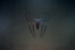 Spiderman personalized creative logo wallpaper