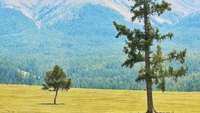 Xinjiang tourist beauty HD desktop wallpaper picture