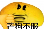 芒狗不服表情包