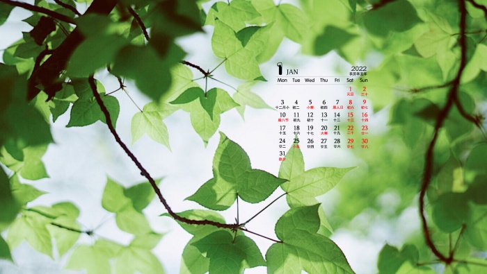 2022年1月护眼草地绿叶日历壁纸