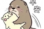 水獭早安表情包