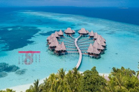 August 2022 Calendar Wallpaper