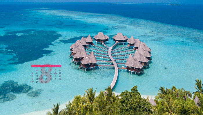 2022年8月日历壁纸