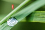 谷雨节气唯美高清图片桌面壁纸