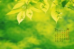 March 2022 HD Eye Protection Calendar Wallpaper