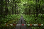 Eye-protecting green jungle scenery calendar wallpaper for May 2022