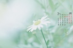March 2022 elegant, simple and fresh desktop calendar wallpaper