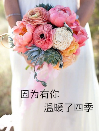 因为有你温暖了四季图片