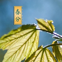 Equinox mobile wallpaper