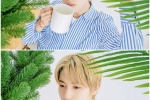 NCTDREAM Polaroid photo collection