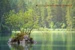 January 2022 lakes and mountains scenery calendar wallpaper