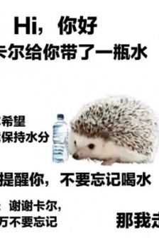 刺蝟卡爾表情包
