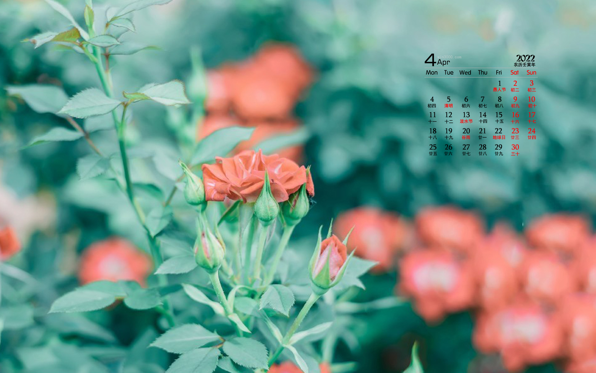 2022年4月护眼植物花卉桌面日历壁纸