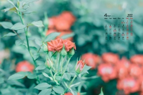 April 2022 Eye-Protect Plants and Flowers Desktop Calendar Wallpaper