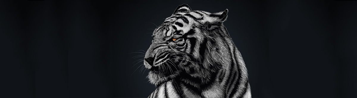 黑白手機壁紙大全