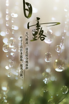 White dew fresh scenery mobile wallpaper