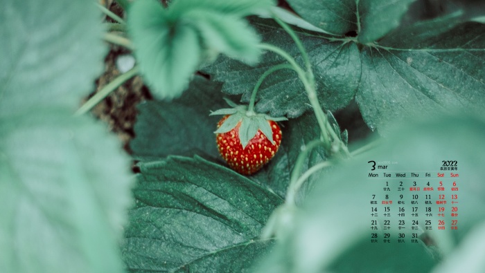 2022年3月護眼綠色桌麵日曆壁紙