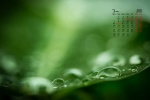 March 2022 Eye-Safe Desktop Calendar Wallpaper