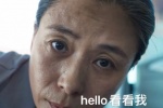 开端高压锅阿姨hello看看我表情包